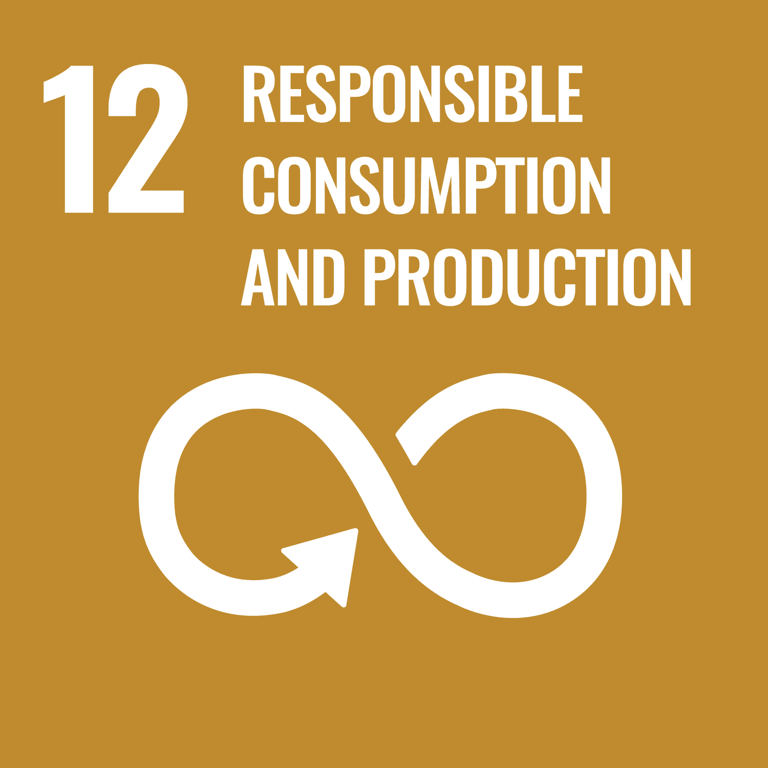 Responsible Consumption Production